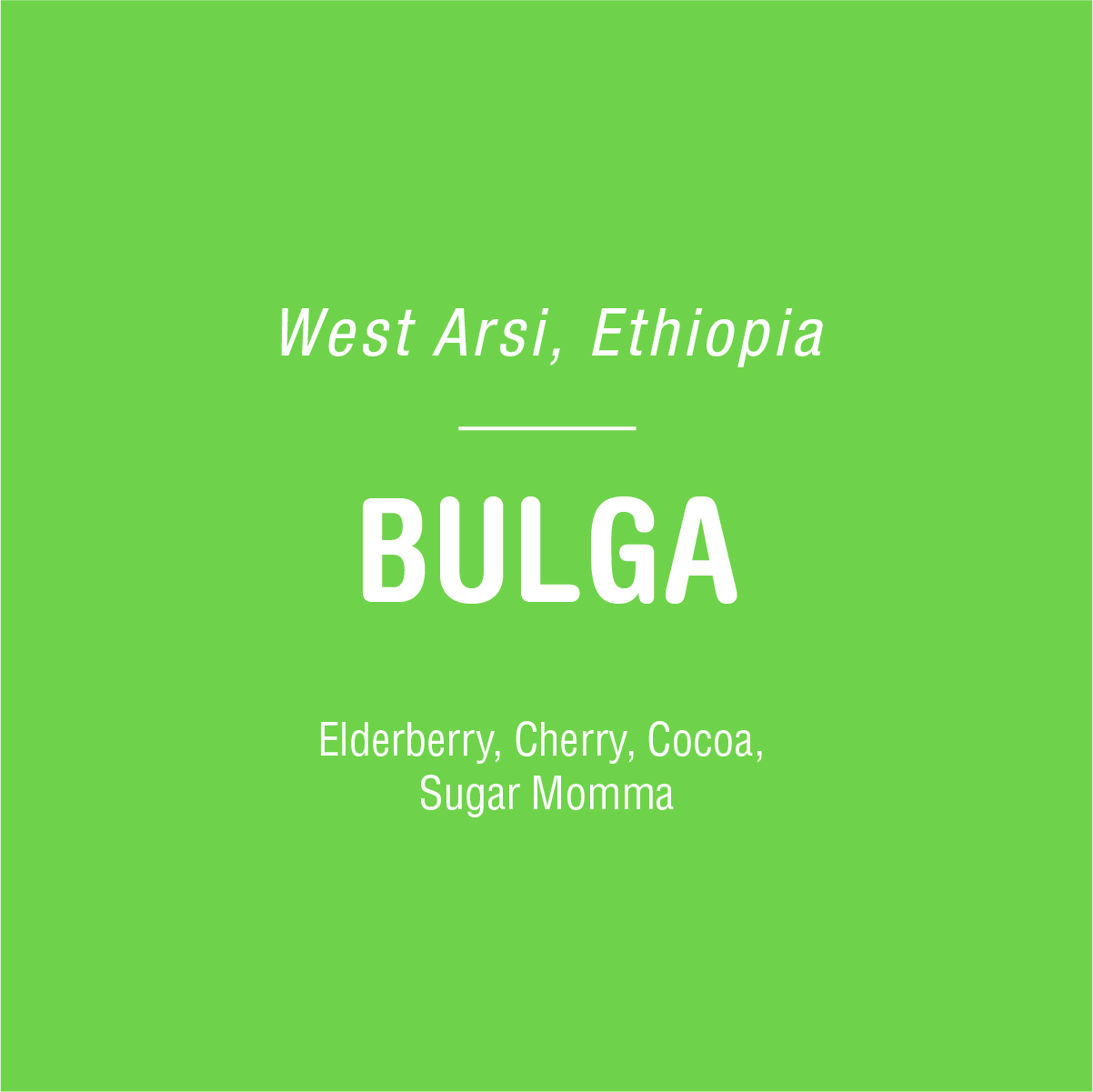 Bulga